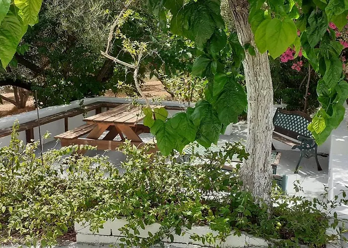 Captain's In Olive Grove *