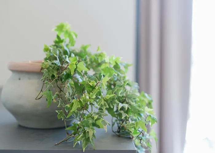 Captain's In Olive Grove Appartamento