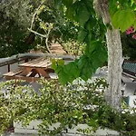 Captain's In Olive Grove *